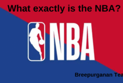 What exactly is the NBA?